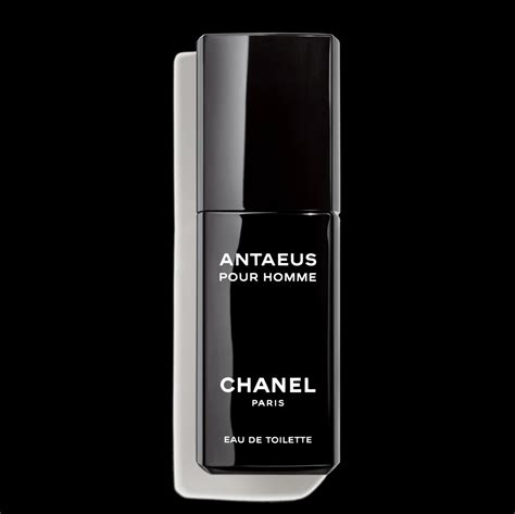 antaeus chanel eau de toilette 100ml ravelli|Chanel antaeus discontinued.